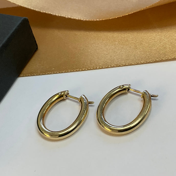 9ct Yellow Gold Hoop Earrings