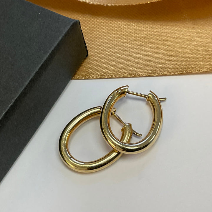 9ct Yellow Gold Hoop Earrings